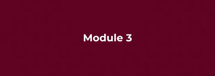 Independent Audit Process EDGE03